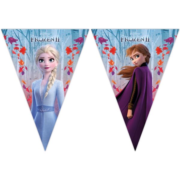 BANDERINES FROZEN 2